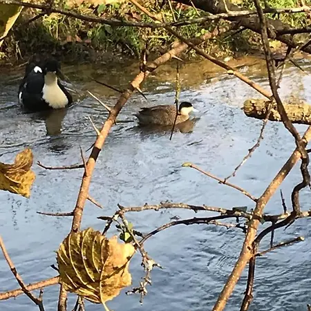 Le Du Parc 아파트 Villers-devant-Orval